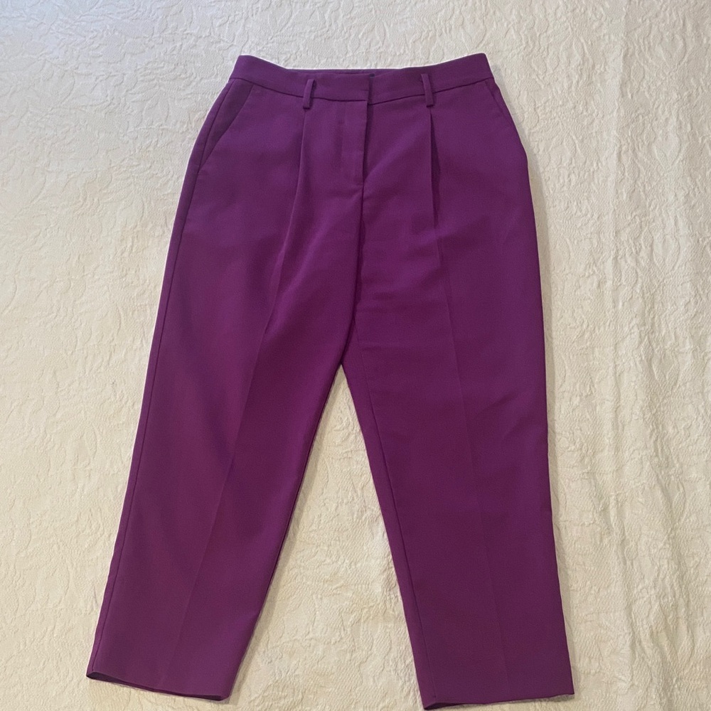 Ann Taylor Petite Purple Trousers